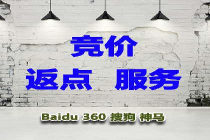 SEM服务托管：提升广告效果的成功案例解析